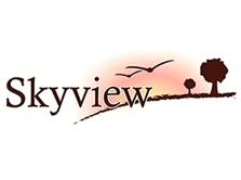skyview